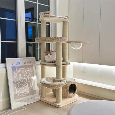 Show full view: Happy & Polly Multi-Level 55.5-in Whispering Hollow Natural Wood Cat Tree, Beige slide 4 of 10