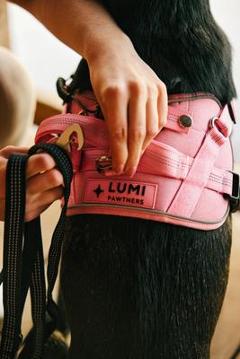 Show full view: Lumi Pawtners Lumi One Dog Harness, Pink, Large: 16 to 29-in chest slide 4 of 12