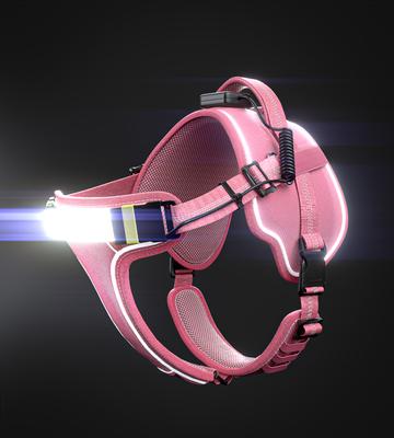 Show full view: Lumi Pawtners Lumi One Dog Harness, Pink, Large: 16 to 29-in chest slide 2 of 12