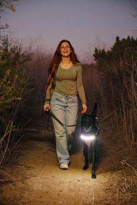 Show full view: Lumi Pawtners Lumi One Dog Harness, Pink, Large: 16 to 29-in chest slide 7 of 12