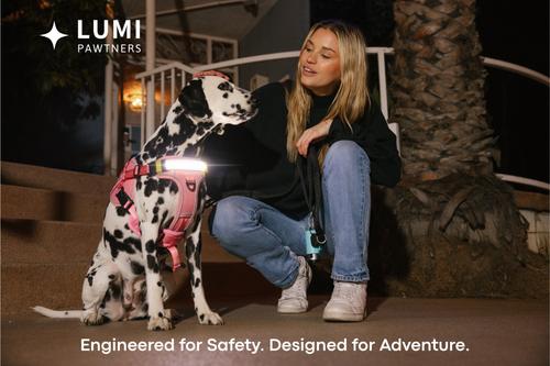 Show full view: Lumi Pawtners Lumi One Dog Harness, Pink, Large: 16 to 29-in chest slide 3 of 12