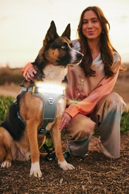 Show full view: Lumi Pawtners Lumi One Dog Harness, Blue, X-Large: 18 to 35-in chest slide 5 of 12