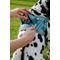 Show in main carousel: Lumi Pawtners Lumi One Dog Harness, Blue, X-Large: 18 to 35-in chest slide 7 of 12