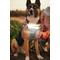 Show in main carousel: Lumi Pawtners Lumi One Dog Harness, Blue, X-Large: 18 to 35-in chest slide 6 of 12