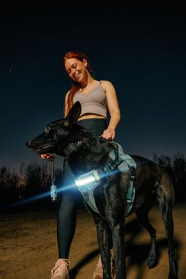 Show full view: Lumi Pawtners Lumi One Dog Harness, Blue, Small: 10 to 19-in chest slide 8 of 14