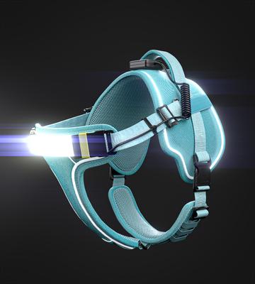 Show full view: Lumi Pawtners Lumi One Dog Harness, Blue, Medium: 12 to 24-in chest slide 3 of 12