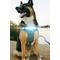 Show in main carousel: Lumi Pawtners Lumi One Dog Harness, Blue, Large: 16 to 29-in chest slide 7 of 12
