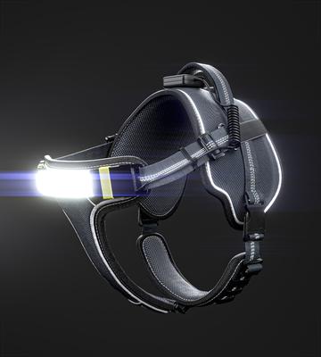 Show full view: Lumi Pawtners Lumi One Dog Harness, Black, X-Large: 18 to 35-in chest slide 2 of 11