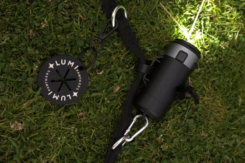 Show full view: Lumi Pawtners Lumi Dog Leash, Black, 6-ft long, 3/4-in wide slide 2 of 4