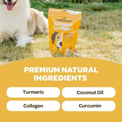Show full view: Ready Pet Go Turmeric & Collagen Dog Supplement, 60 count slide 3 of 7