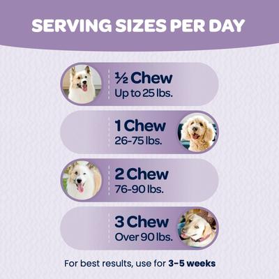 Show full view: Ready Pet Go Calming & Relaxing Soft Chew Dog Supplement, 90 count slide 7 of 9