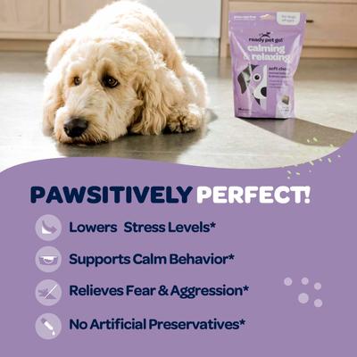 Show full view: Ready Pet Go Calming & Relaxing Soft Chew Dog Supplement, 90 count slide 6 of 9