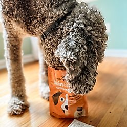 Ready Pet Go Skin & Coat Omega-3 Dog Supplement, 60 count slide 2 of 4