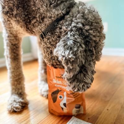 Show full view: Ready Pet Go Skin & Coat Omega-3 Dog Supplement, 60 count slide 5 of 7