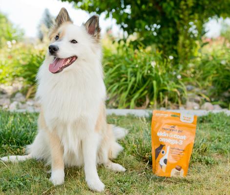 Show full view: Ready Pet Go Skin & Coat Omega-3 Dog Supplement, 60 count slide 4 of 7