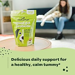 Ready Pet Go Good Gut Probiotic Dog Supplement, 60 count slide 2 of 6