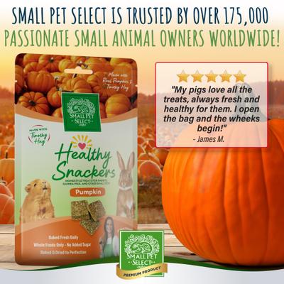 Show full view: Small Pet Select Healthy Snackers Pumpkin Flavor, Small Animal Treats, 2-oz bag, 3 count slide 6 of 8