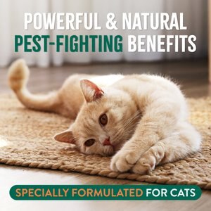 TropiClean Natural Flea + Tick Gentle Cat Shampoo, 12-fl oz