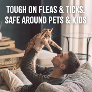 TropiClean Natural Flea + Tick Gentle Cat Shampoo, 12-fl oz