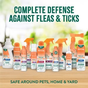 TropiClean Natural Flea + Tick Gentle Cat Shampoo, 12-fl oz