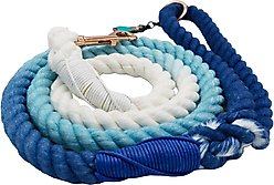 Sassy Woof Disney Princess Jasmine Rope Dog Leash, 5-ft long, 0.6-in wide slide 2 of 5