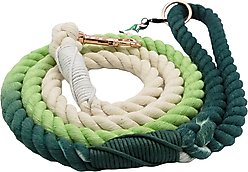 Sassy Woof Disney Princess Mulan Rope Dog Leash, 5-ft long, 0.6-in wide slide 2 of 4