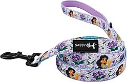 Sassy Woof Disney Princess Jasmine Dog Leash, 5-ft long, 4/5-in wide