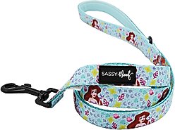 Sassy Woof Disney Princess Ariel Dog Leash, 5-ft long, 4/5-in wide
