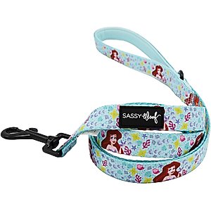 Sassy Woof Disney Princess Ariel Dog Leash, 5-ft long, 4/5-in wide