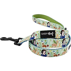 Sassy Woof Disney Princess Snow White Dog Leash, 5-ft long, 4/5-in wide