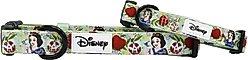 Sassy Woof Disney Princess Snow White Dog Collar, Small: 13-in neck, 1/2-in wide