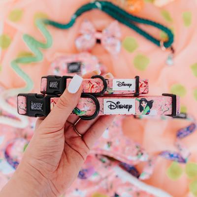 Show full view: Sassy Woof Disney Princess Mulan Dog Collar, Large: 26-in neck, 1-in wide slide 5 of 7