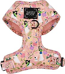 Sassy Woof Disney Princess Mulan Adjustable Dog Harness, Medium:18 to 25-in chest slide 1 of 6