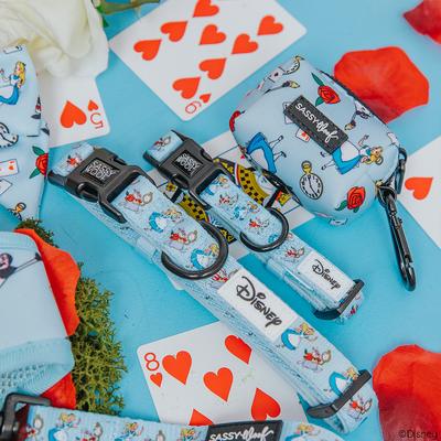 Show full view: Sassy Woof Alice in Wonderland Dog Waste Bag Holder, Blue slide 5 of 6