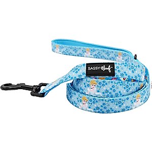 Sassy Woof Disney Princess Cinderella Dog Leash, 5-ft long, 4/5-in wide