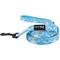Show in main carousel: Sassy Woof Disney Princess Cinderella Dog Leash, 5-ft long, 4/5-in wide slide 1 of 7
