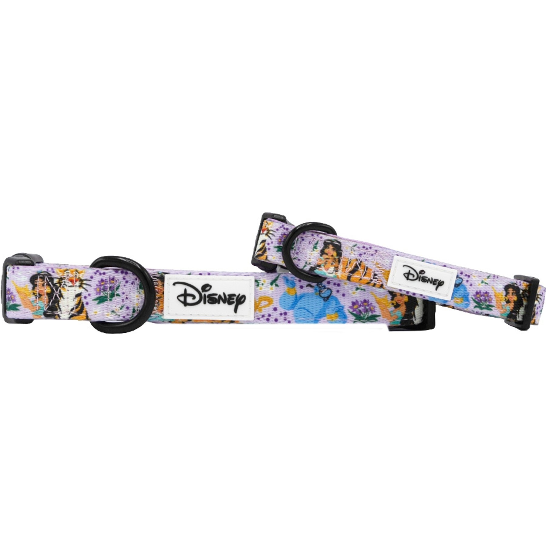 Sassy Woof Disney Princess Jasmine Dog Collar, Large: 26-in neck, 1-in wide