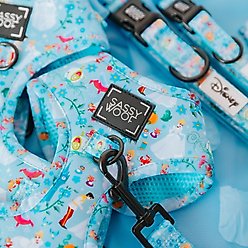 Sassy Woof Disney's Cinderella Dog Harness & Leash, XX-Small: 10 to 14-in chest slide 2 of 8