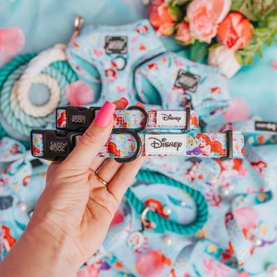 Show full view: Sassy Woof Disney Princess Ariel Dog Collar, Medium: 19.7-in neck, 3/4-in wide slide 5 of 6