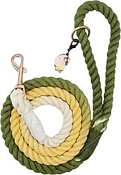 Sassy Woof Disney Princess Belle Rope Dog Leash, 5-ft long, 0.6-in wide