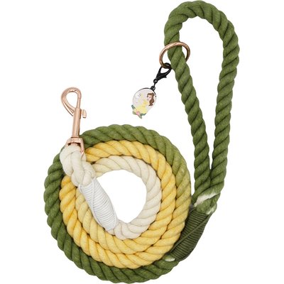 Sassy Woof Sassy Woof Disney Princess Belle Rope Dog Leash, 5-ft long, 0.6-in wide