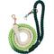 Show in main carousel: Sassy Woof Disney Princess Mulan Rope Dog Leash, 5-ft long, 0.6-in wide slide 1 of 5