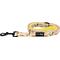 Show in main carousel: Sassy Woof Disney Princess Belle Dog Leash, 5-ft long, 4/5-in wide slide 2 of 6