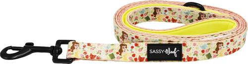 Show full view: Sassy Woof Disney Princess Belle Dog Leash, 5-ft long, 4/5-in wide slide 2 of 6