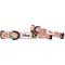 Show in main carousel: Sassy Woof Disney Princess Mulan Dog Collar, Large: 26-in neck, 1-in wide slide 1 of 7