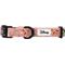 Show in main carousel: Sassy Woof Disney Princess Mulan Dog Collar, Large: 26-in neck, 1-in wide slide 2 of 7