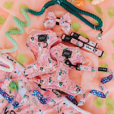 Show full view: Sassy Woof Disney Princess Mulan Adjustable Dog Harness, X-Large: 24 to 35-in chest slide 4 of 6