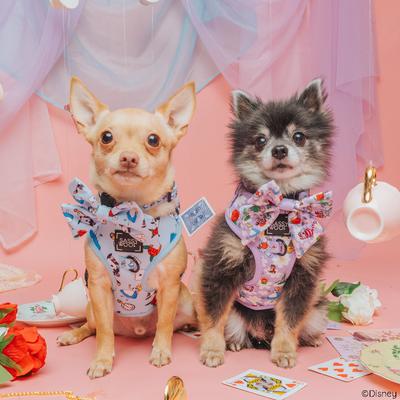 Show full view: Sassy Woof Alice in Wonderland Dog Collar, Blue, X-Small: 9.5-in neck, 1/3-in wide slide 6 of 6