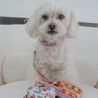 Show full view: Sassy Woof Alice in Wonderland Dog Waste Bag Holder, Purple slide 5 of 5