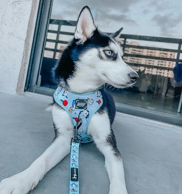 Show full view: Sassy Woof Alice in Wonderland Adjustable Dog Harness, Blue, X-Large: 24 to 35-in chest slide 6 of 6